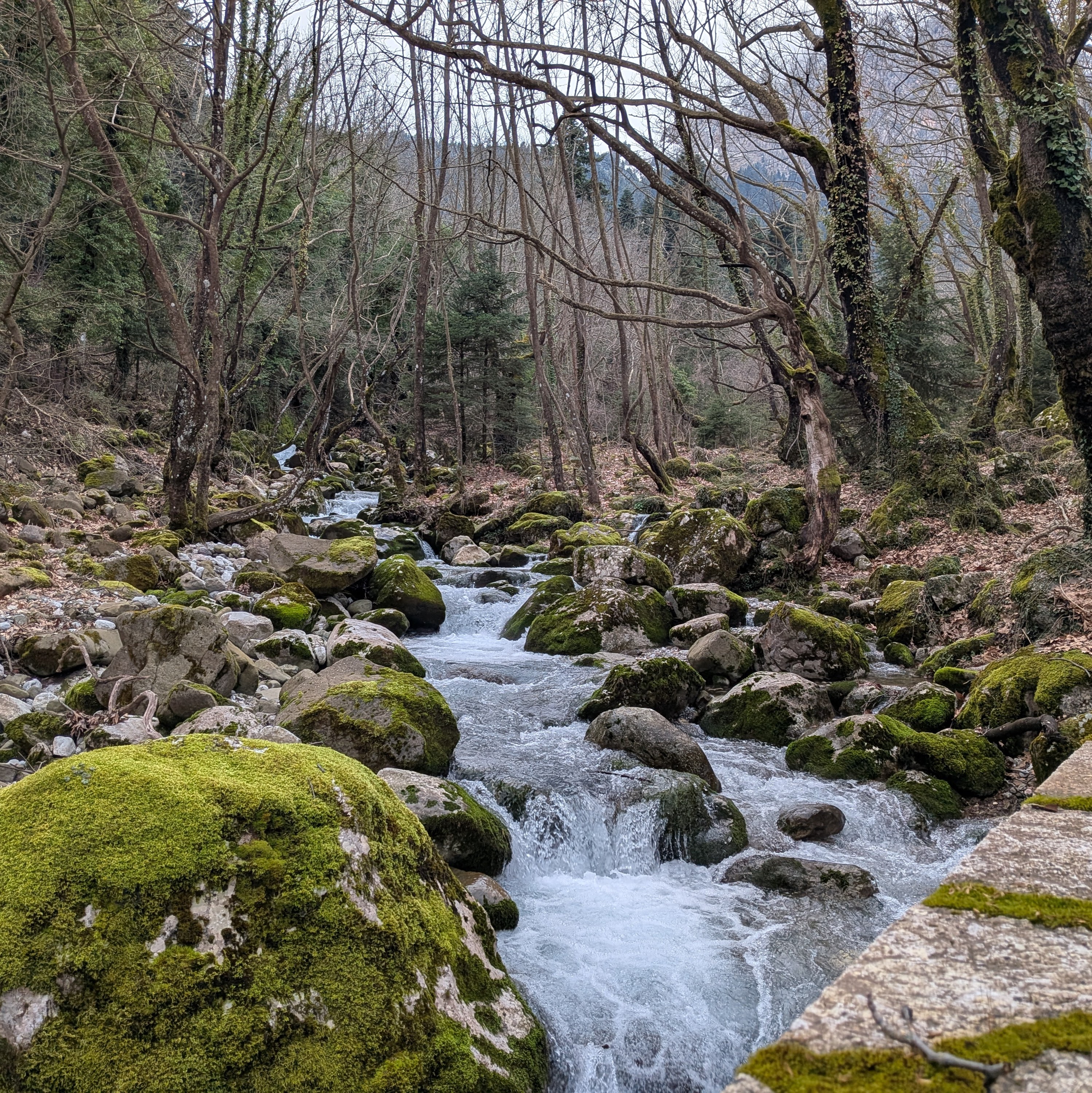 River flow